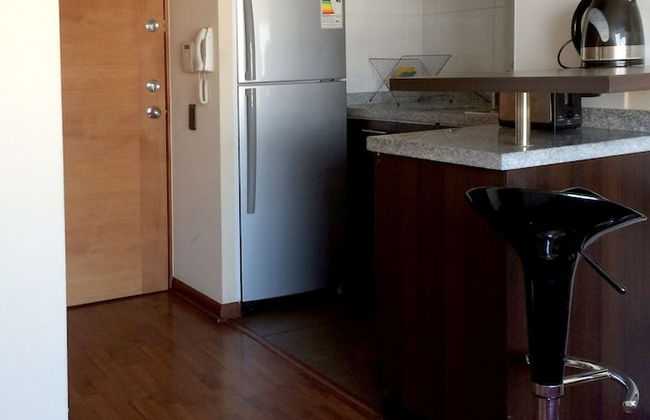 Santiago Furnished Apartments - Foto 6