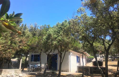 Casula Mediterranea - Foto 9