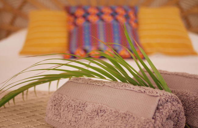 Coco Soley - Photo 7