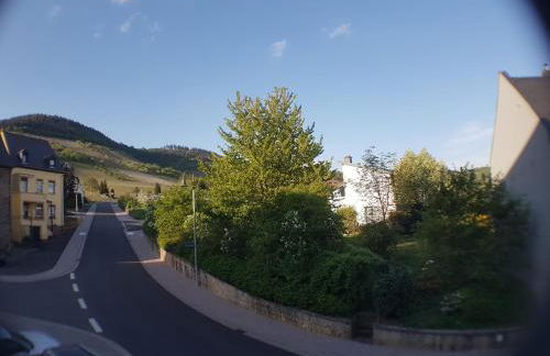 Gästehaus Steuer - Foto 30