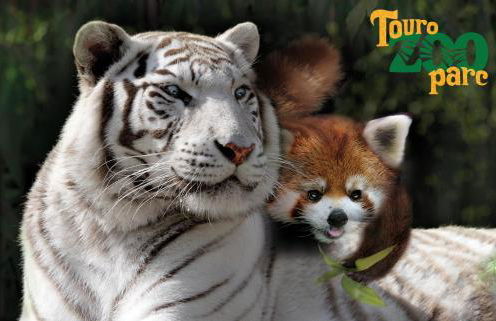 Moulin à Vent Studio Cosy - Foto 12