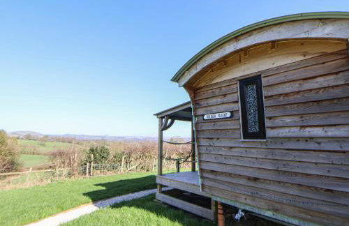 Golden Fleece - Foto 3