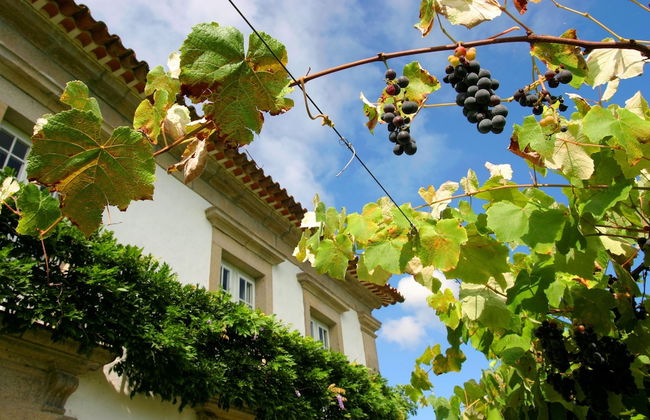 Casa da Várzea - Foto 29