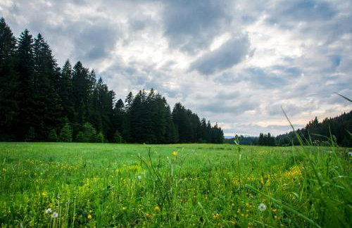 Holiday Home Čančarević - Foto 28