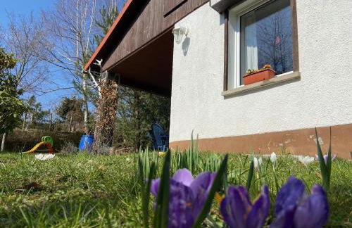 Ferienhaus Waldblick - Foto 30