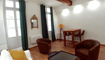 Le musée Fabre, appart de charme , parking gratuit - Foto 3