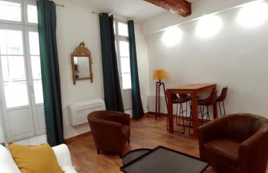 Le musée Fabre, appart de charme , parking gratuit - Foto 3