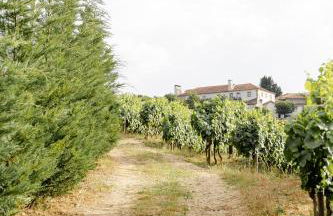 Casa das Nogueiras - Foto 58