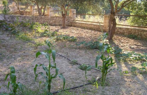 Stratos Villas - Foto 22