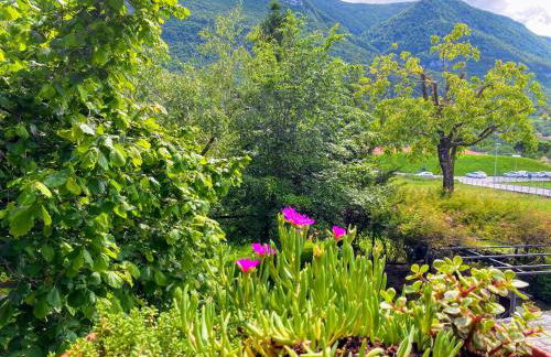 Il Nocciolo - Foto 7