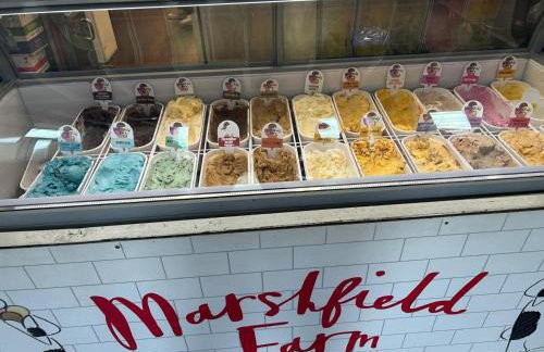 Breathtakingly Beautiful Bude - Foto 32