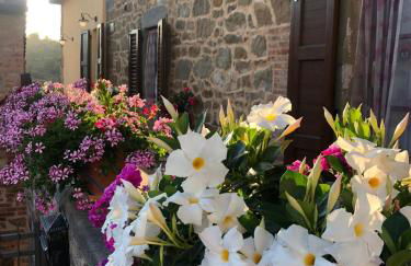 Babbo Rino - Foto 16