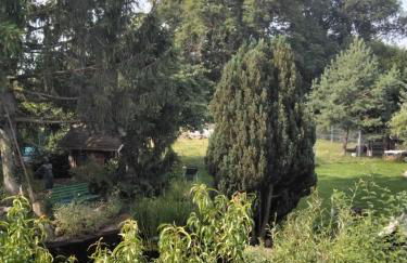 Pusteblume - Foto 17