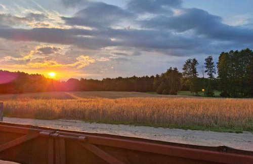 Chill na Skrzynce - Foto 35