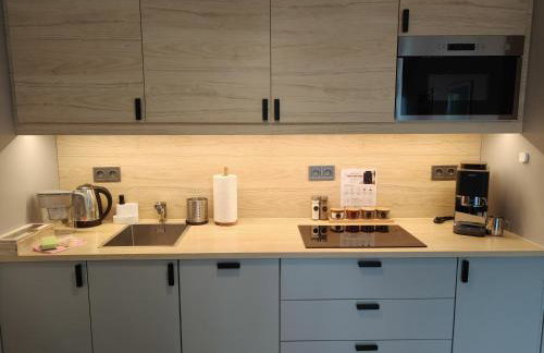 Karkonoska Miejscówka Apartament Szklarska Poręba Centrum Park - Foto 19