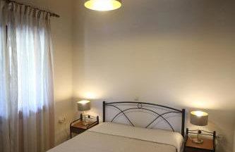 Boletus MushROOM - Foto 2