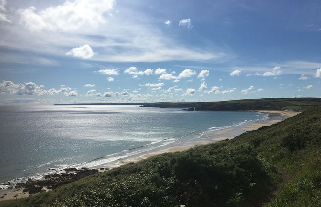 Camellia chalet - Photo 18