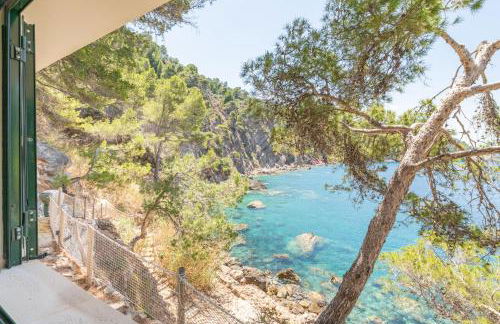 Villa Banyalbufar - Foto 6