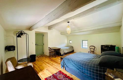 Le Moulin de La Grave 450m2 - Foto 18