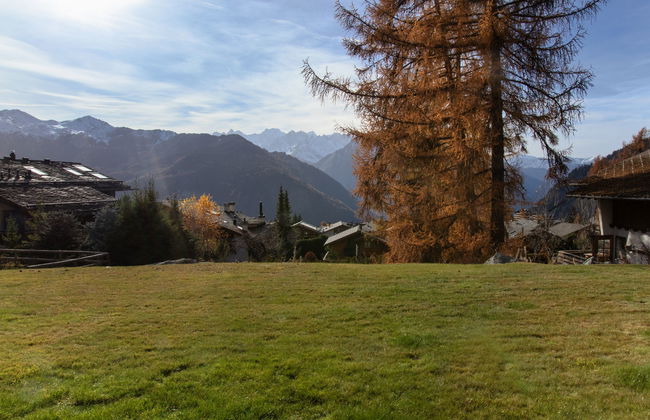 Diure 0113 - Foto 19