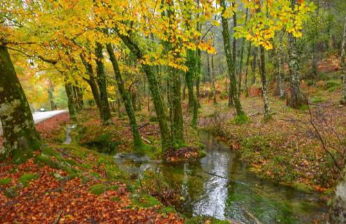 Casas De Bouro 2 Casa Dos Jarros - Foto 44