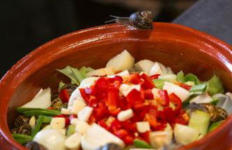 House Of Ntounias ΙΙ - Photo 21