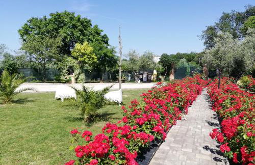 Casa Vacanze Angelica - Foto 20