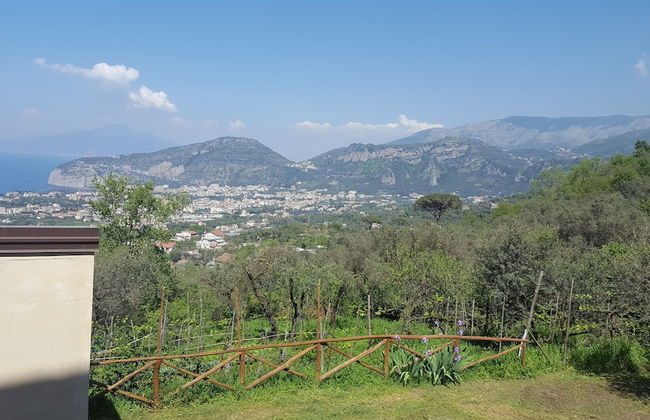 Gli Ulivi Agriturismo - Foto 51