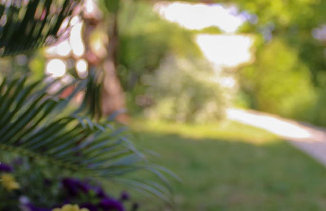 Apartments Hrabar - Photo 55