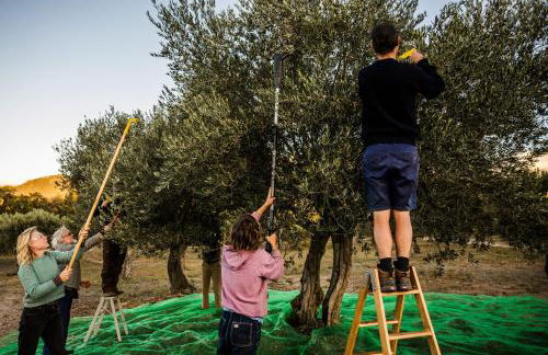 Casa de diseño con gran terraza - Foto 58
