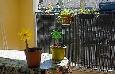 Mauguio-Village Apt T2 Tout Confort, Lumineux, Clim, Wifi, Balcon, parking couvert, 15 mn de la mer, de Montpellier - Photo 8