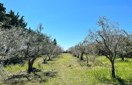 Modern House Ancient Pydna - Foto 21