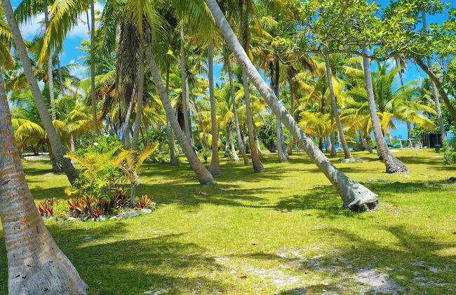 Motu Fara Private Island - Photo 63