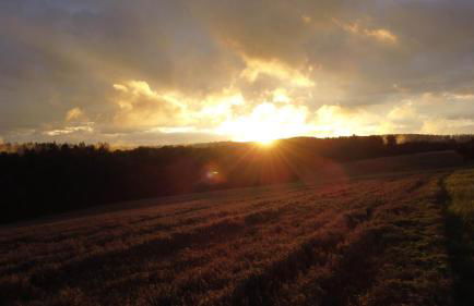 Ferienwohnung Auwald - Foto 23