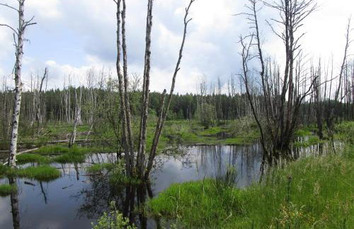 Gästehaus Aurelia - Foto 45