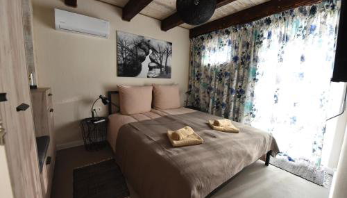 Diedushka Noclegi - Foto 3