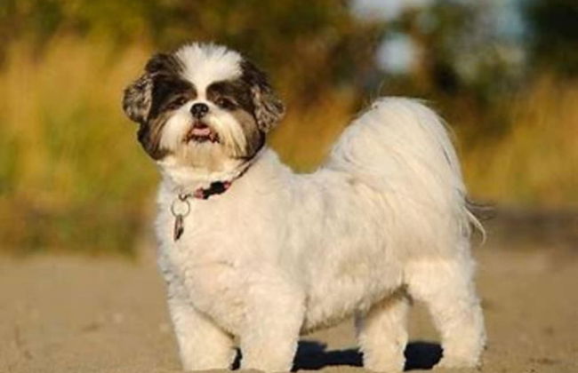 Chalet in Marliana Near Center - Foto 18