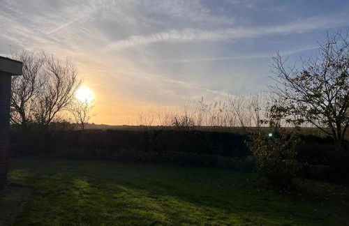 Ferienhaus Sonnendeich - Foto 15