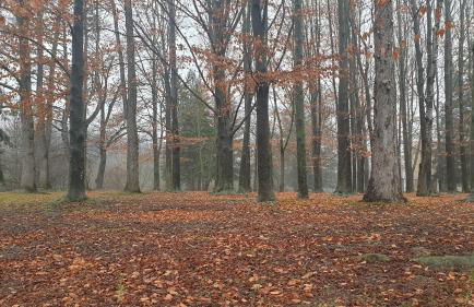 Casa Clotilde - Apartamento elegante y cómodo en Sant Joan de les Abadesses - Foto 16