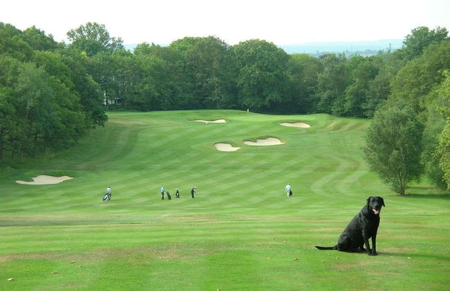 Wimbledon Holiday Lets - Foto 48