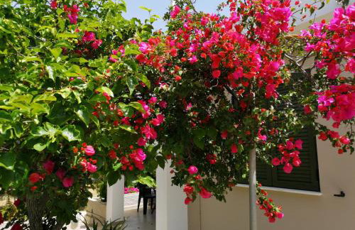 Casa da Bugainvillea - Foto 27