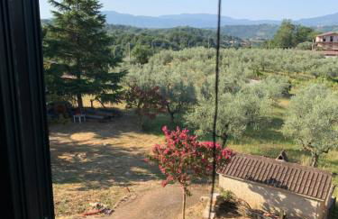 Casale Ugo e Letizia - Foto 18