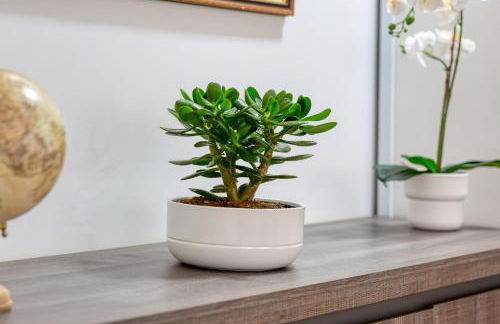 L'explorateur - Entièrement refait - Hyper centre - Foto 15