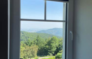 Gîtes Openroc - Vue imprenable sur Colmar - Foto 28