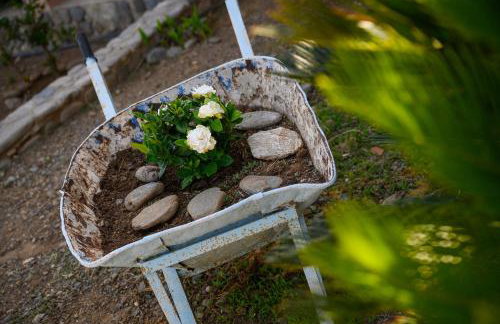 Marina apartments - Foto 6