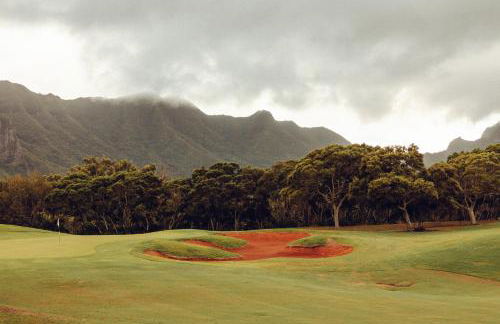 Banyan Harbor Resort - Foto 77