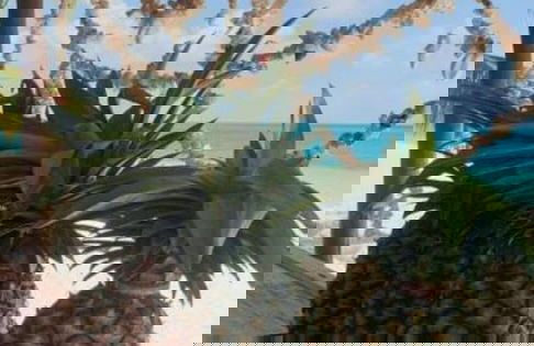 Hilali's Bungalow - Foto 11