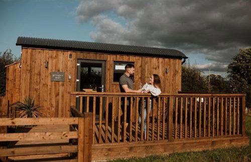 The Ginger Nut - Foto 1