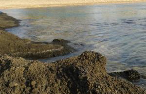 Horio House - Foto 24