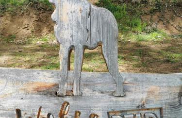 Haus Panoramablick - Fewo Storchennest, Höchenschwand - Foto 15